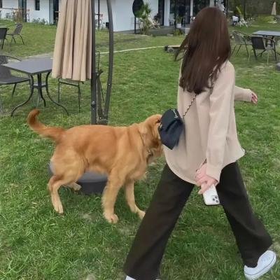 姨妈的后现代生活
